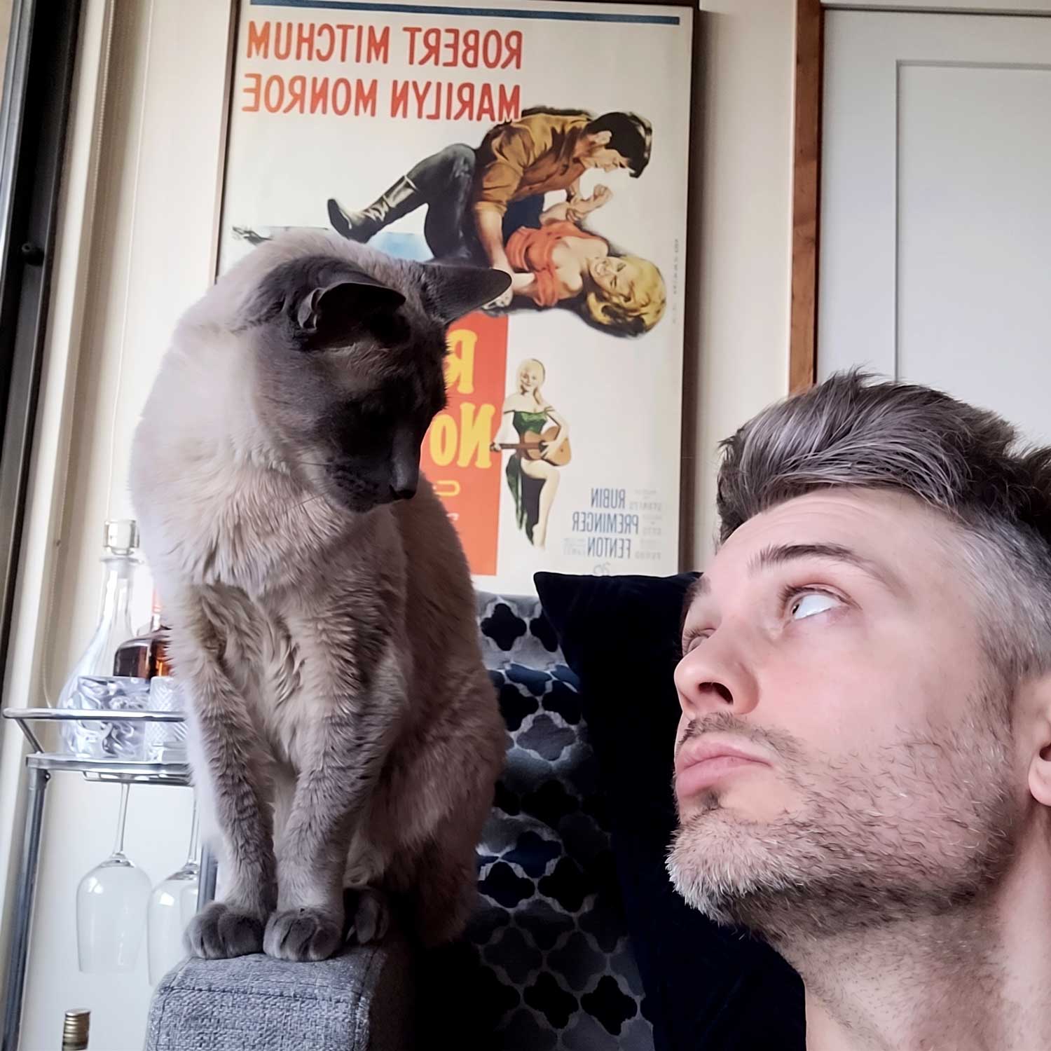 Man lying on a couch with a cat looking up at him, vintage poster in the background