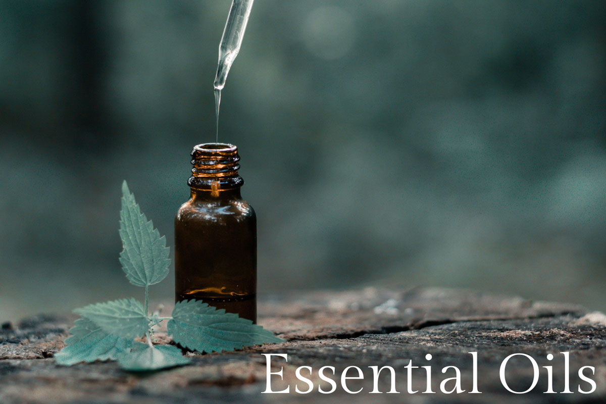 An amber dropper bottle filling with essential oil next to a green plant on a natural wooden log, illustrating the plant-based origins of essential oils.
