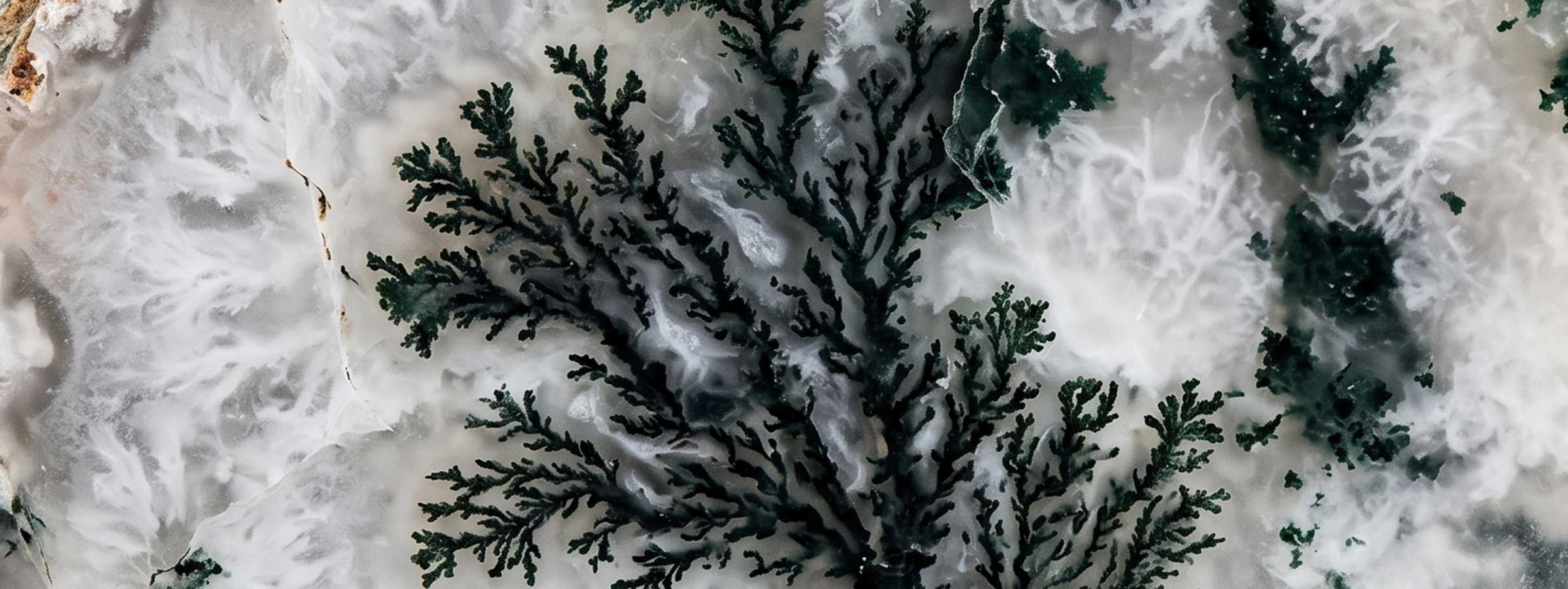 Grounding - Tree Agate