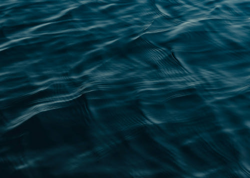 Marine scent collection image